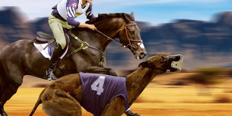 Betting on horse racing online